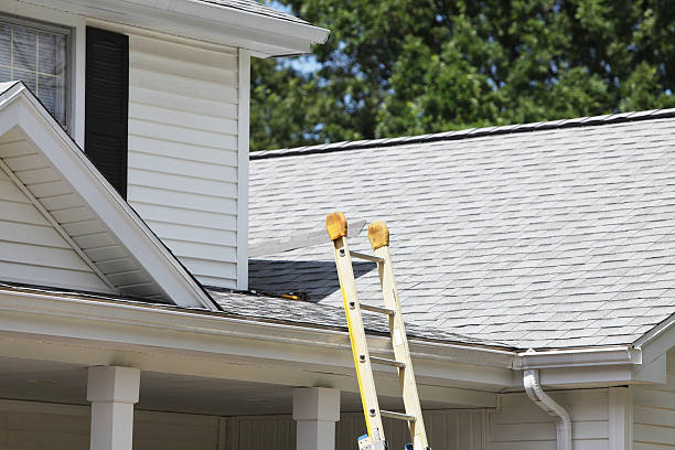 Affordable siding repair and maintenance services in Albany, GA